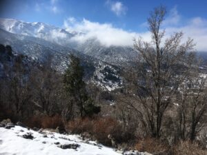 IMG_1324
