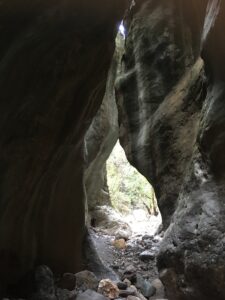 IMG_3470