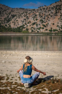 Alethe retreats