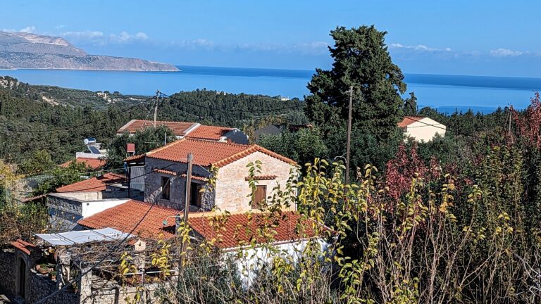 PXL_20231213_084901031