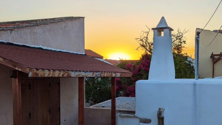 PXL_20241007_043526841~2