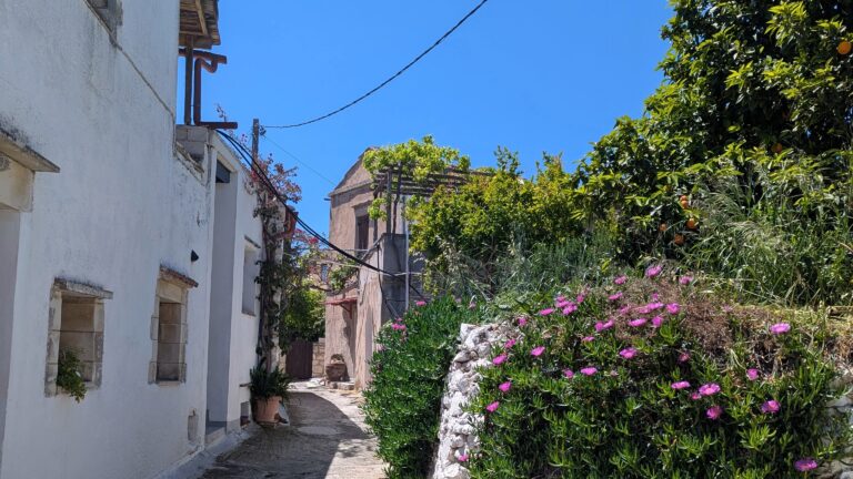 PXL_20250420_095126202