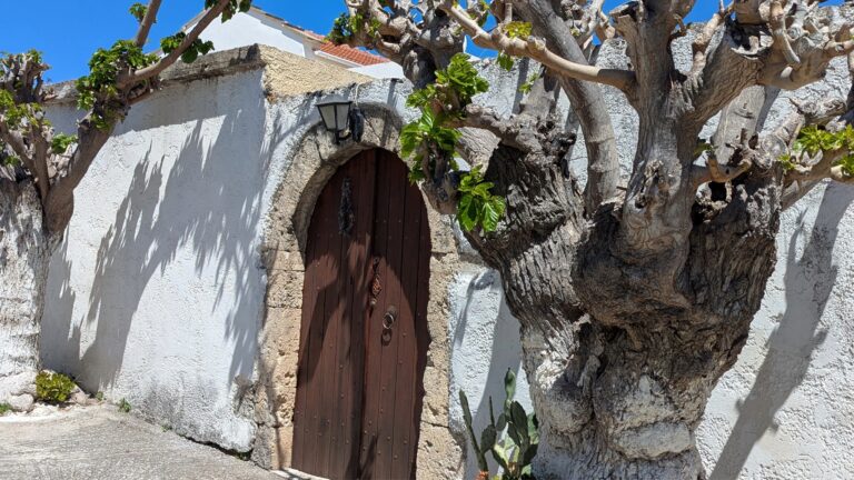 PXL_20250420_095405808 (1)