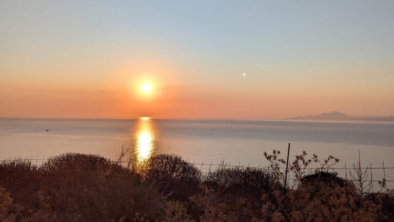 PXL_20250717_034626421